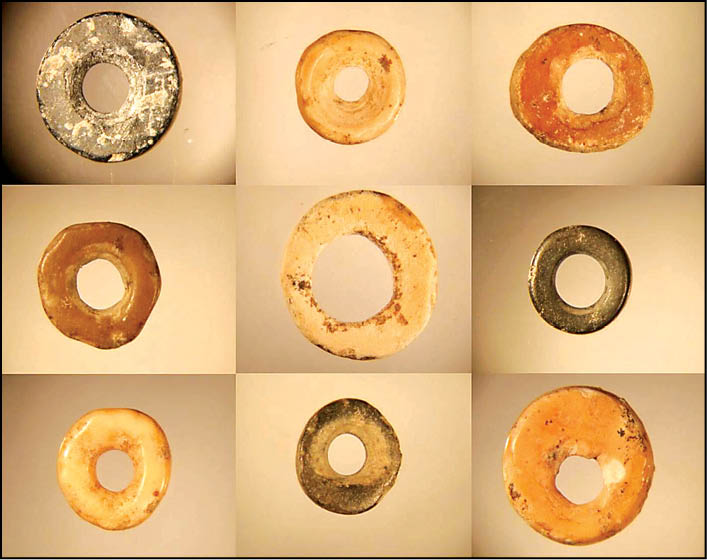 شبکه‌ اجتماعی با قدمت ۵۰هزار سال!