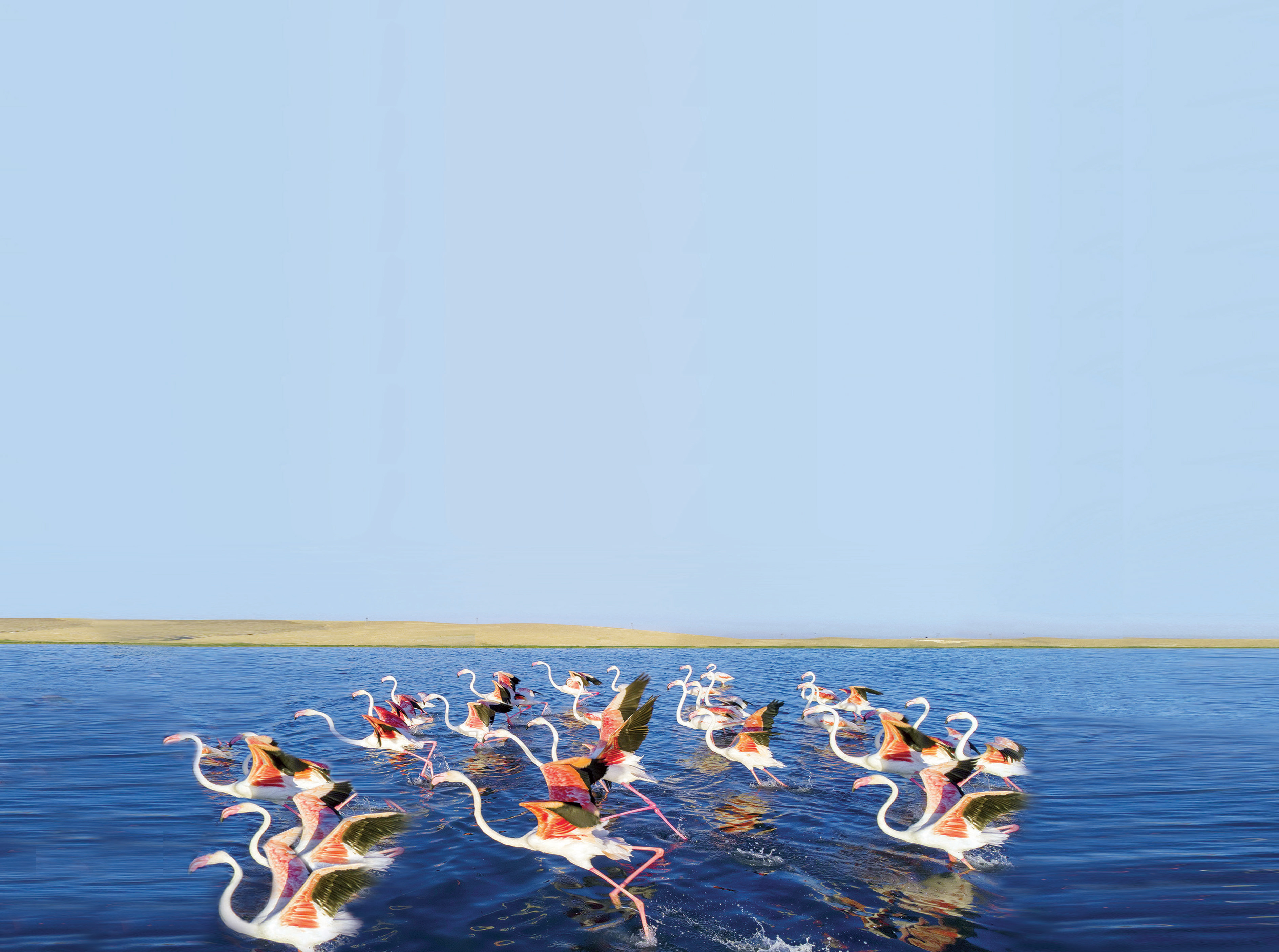 حقابه تالاب‌ها برای چندمین‌بار به وزارت نیرو ابلاغ شد