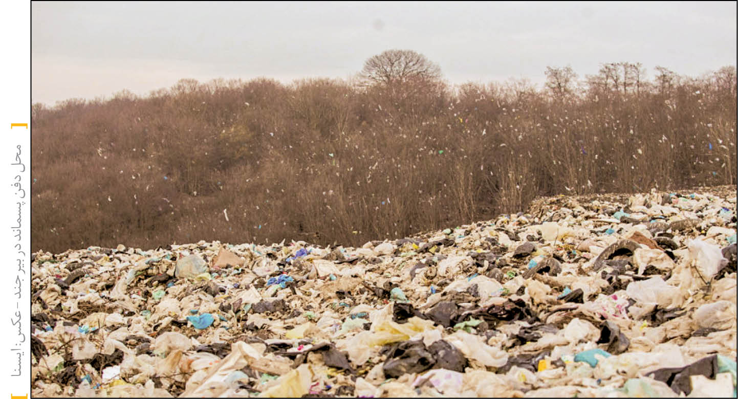 مدیرکل دفتر امور شهری و شوراهای استانداری خبر داد