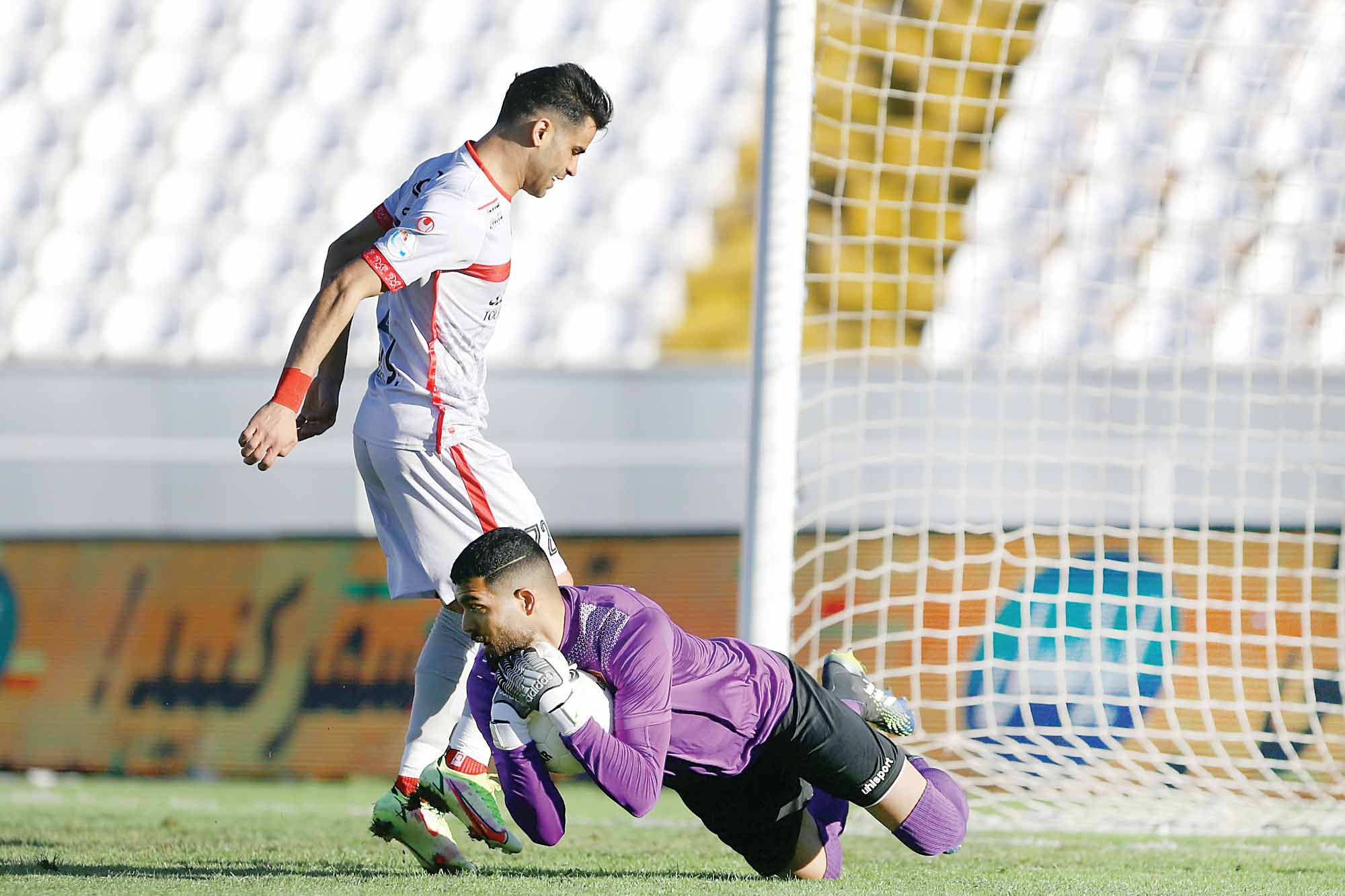 پدیده تویی، پر سپولیس!