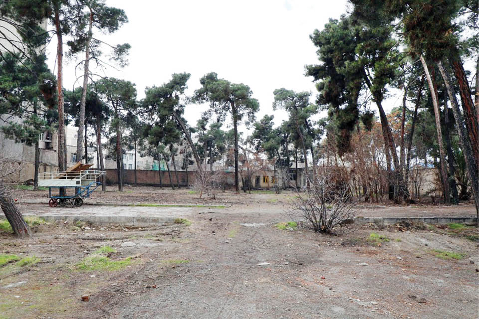 رویش بوستان به‌جای باغ متروکه