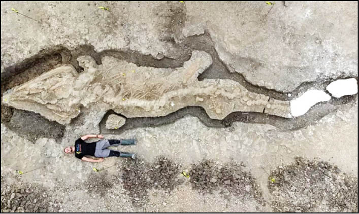 کشف فسیل خزنده ۱۸۰میلیون ساله