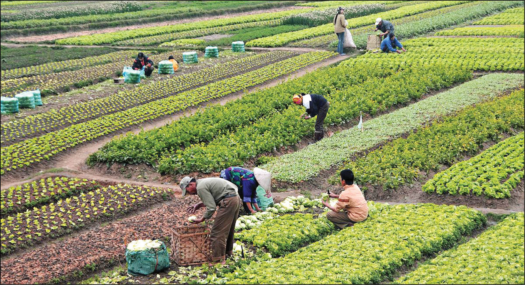 پارک‎های کشاورزی میزبان مردم تبریز