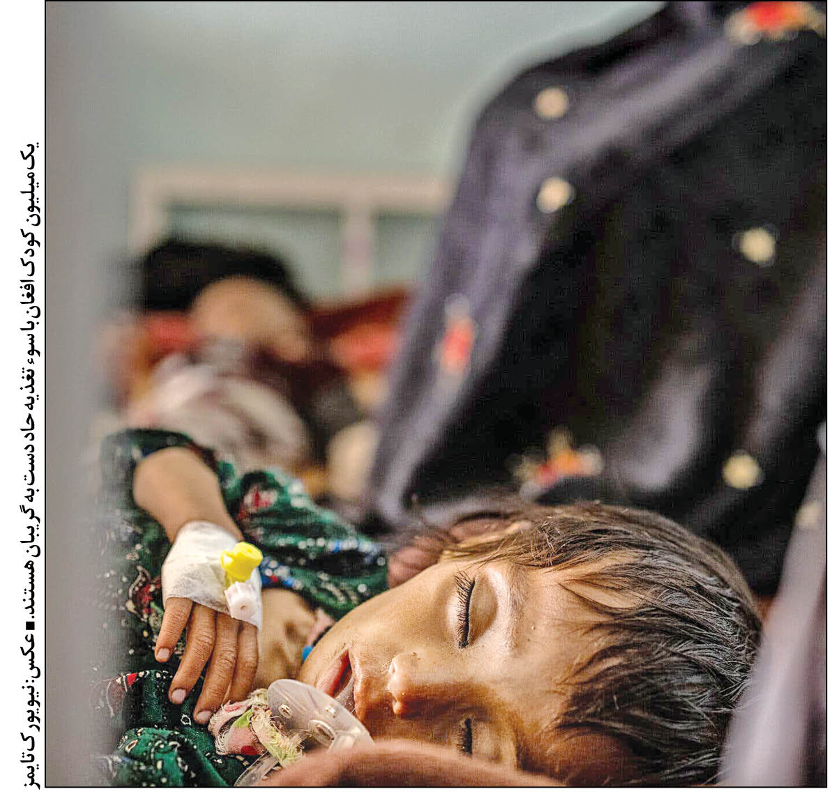 نسل‌کشی، به وقت کابل