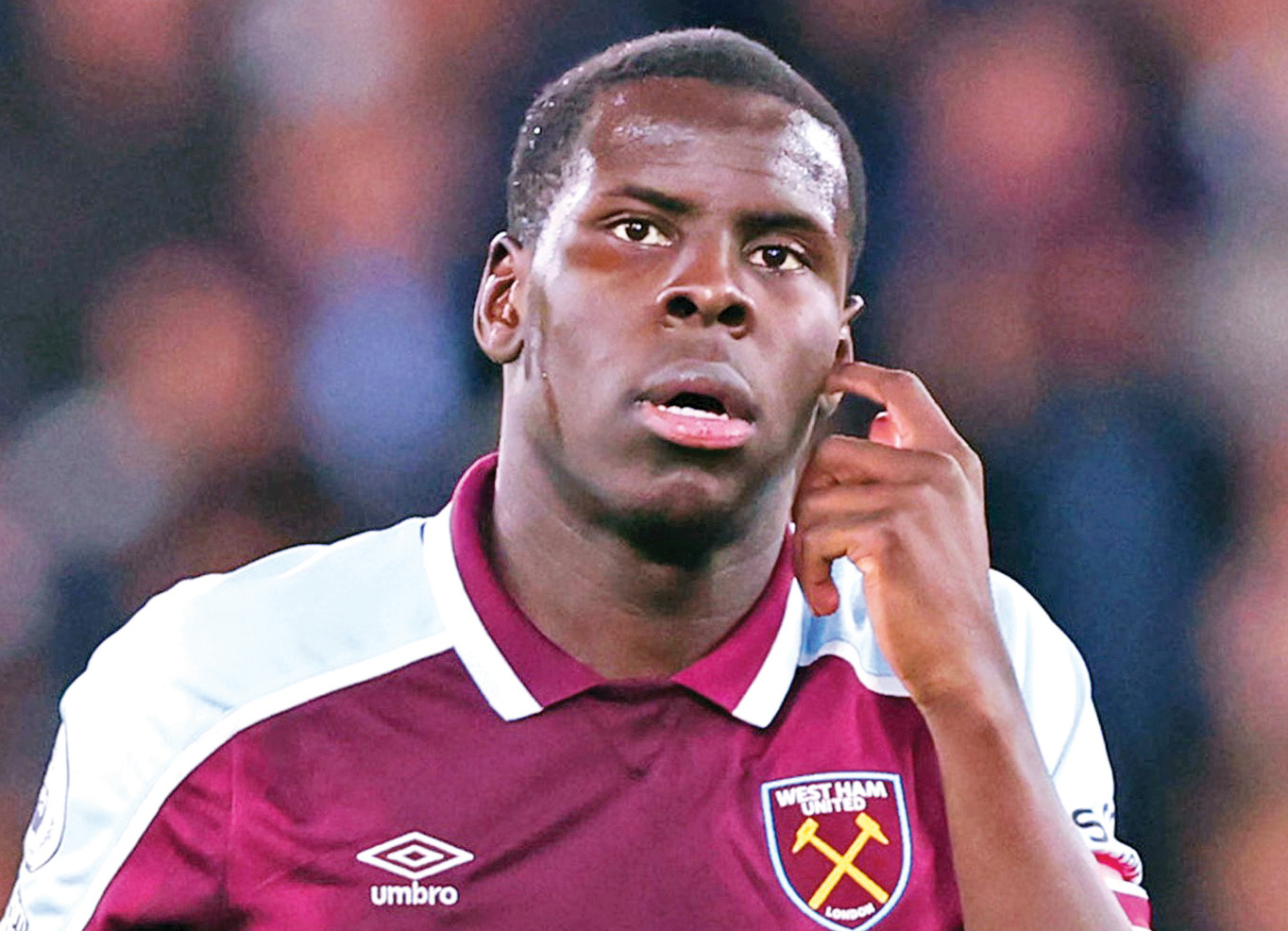 ادامه عواقب گربه‌آزاری