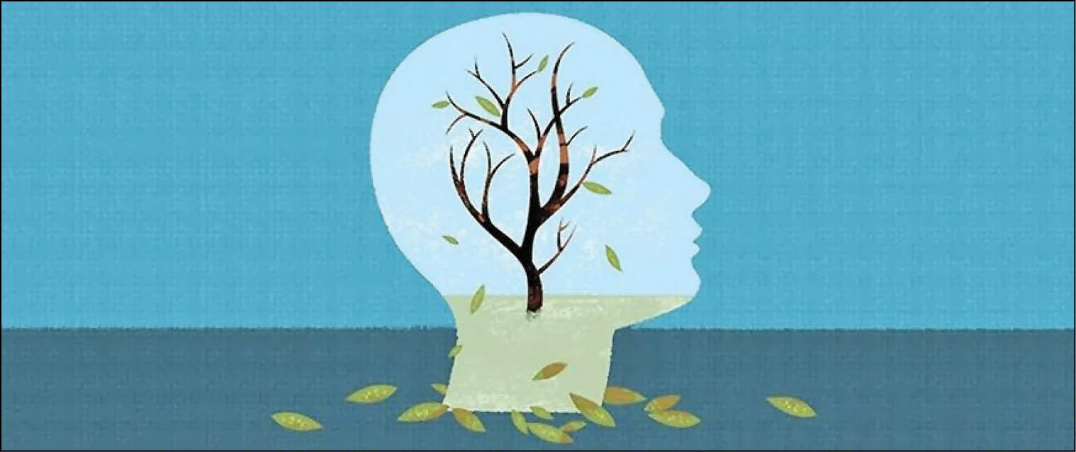 تنها عقل وحیانی می‌تواند میوه‌های شجره طیبه وحی را بچیند