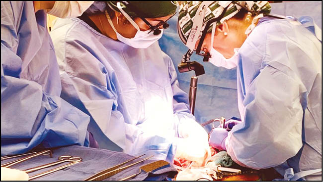 پیوند موفقیت‌آمیز کلیه حیوان به انسان