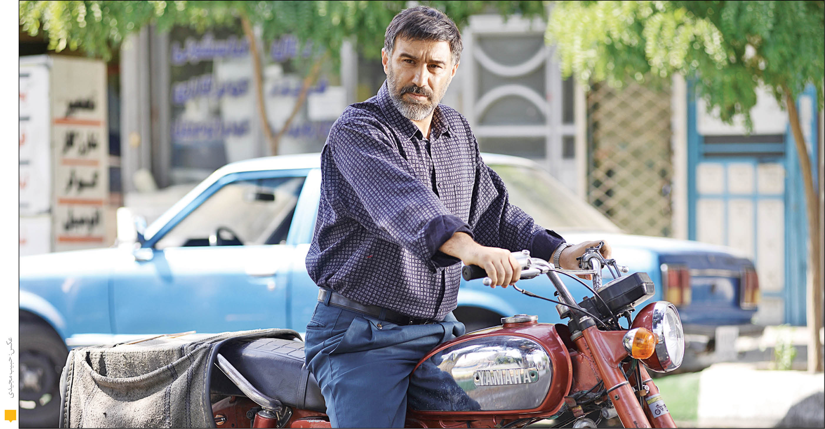 عنکبوت گیشه را نگرفت