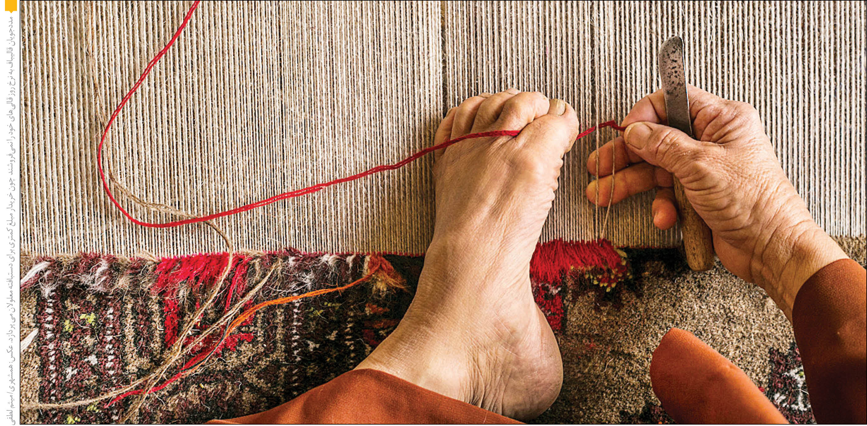 معلولیت ضربدر محرومیت