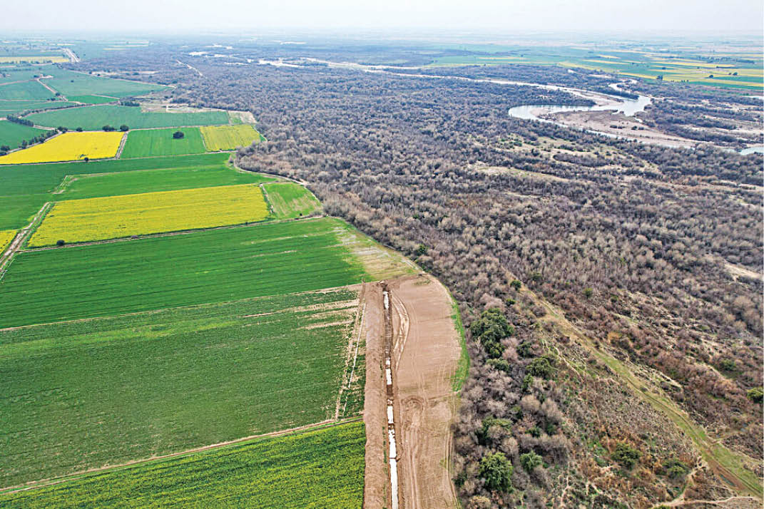 پارک ملی کرخه، زیستگاه گوزن زرد