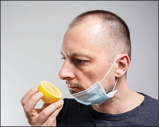 کرونا چطور بویایی را از بین برد؟