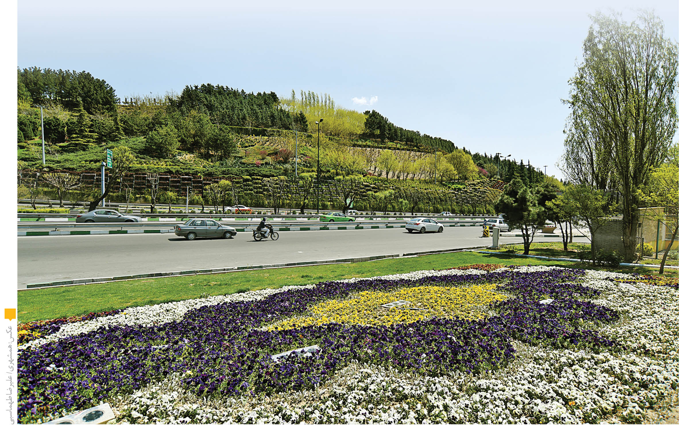 ‌بوی عید در پایتخت پیچید