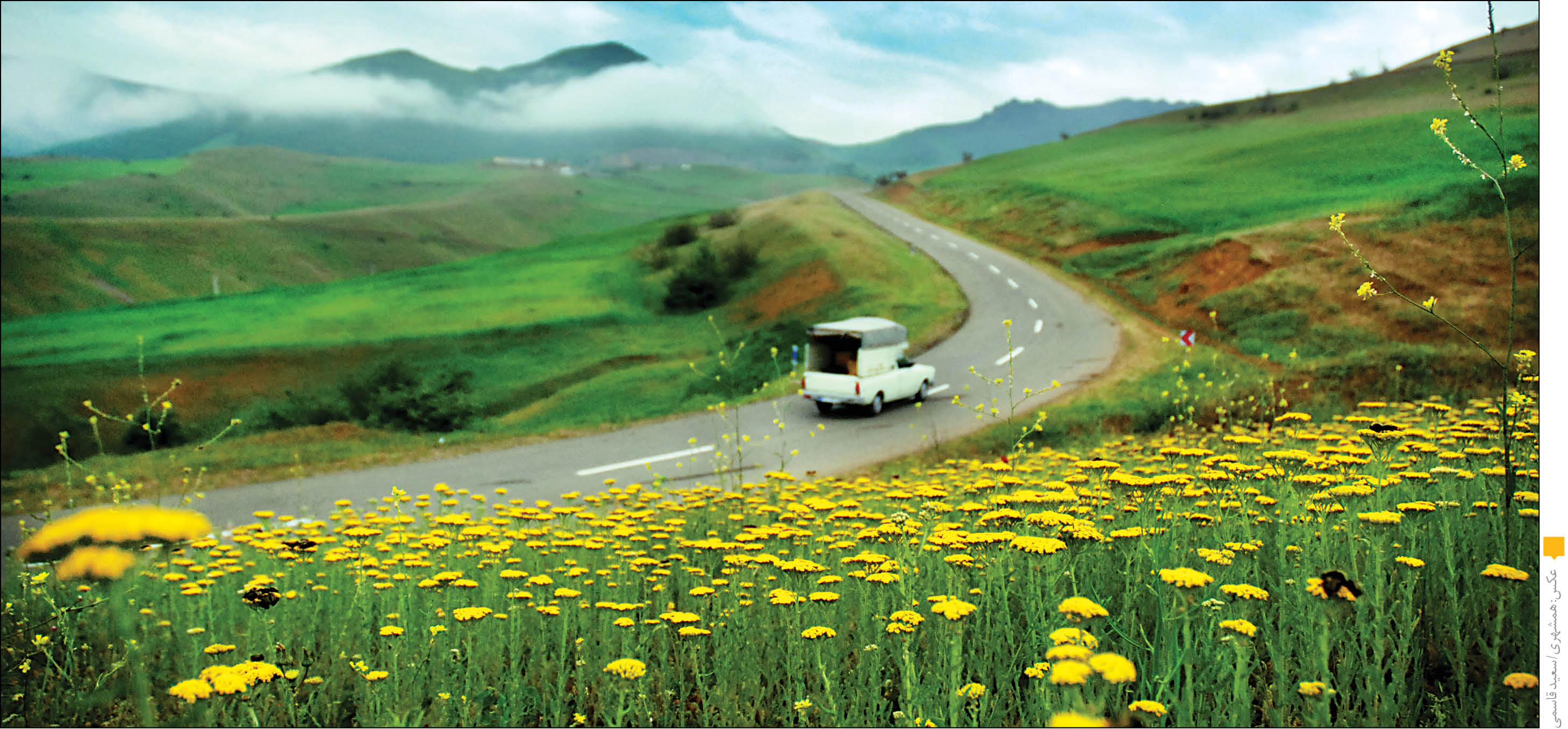 بهار به جاده زده است