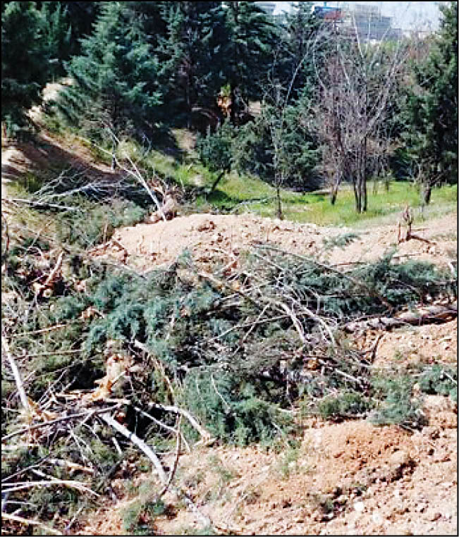 پیشنهاد احضار رئیس دانشگاه تهران به صحن شورا