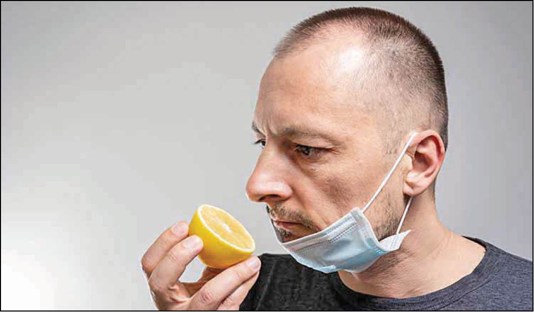 آسیب به مغز در کرونا؛عامل از بین رفتن بویایی