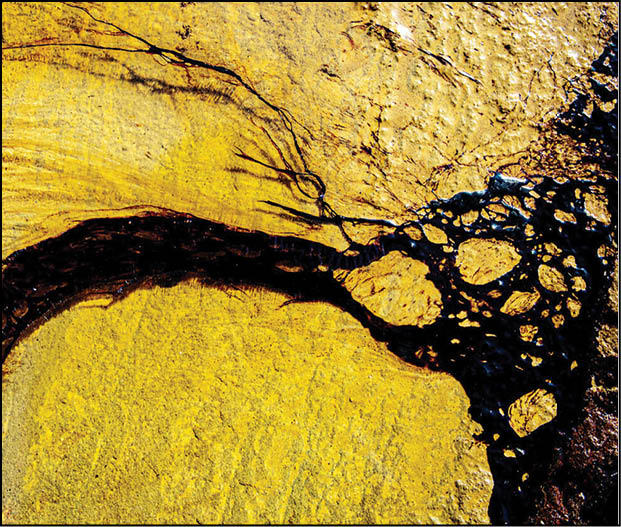 عکس خبر/لکه‌های نفتی