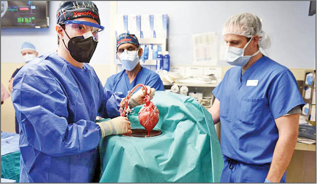 اولین قلب پیوندی خوک به انسان چطور از کار افتاد؟