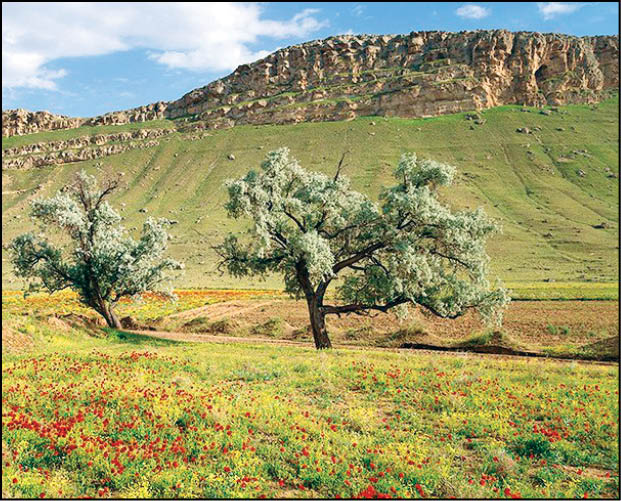 عکس خبر/طبیعت بهاری ،منطقه کاظم داشی ارومیه