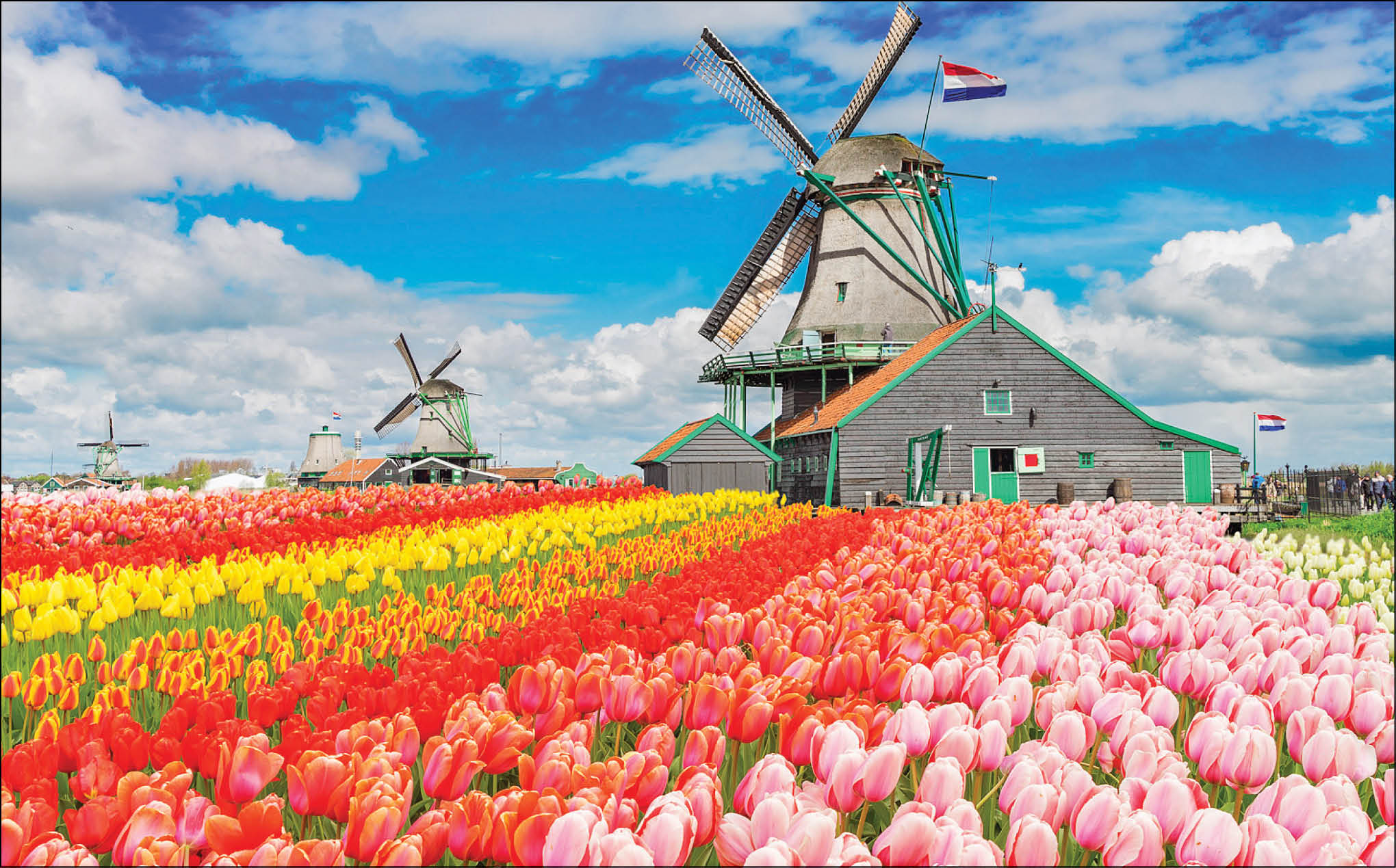 هلند چگونه از امپراتوری به کشوری آرام و بی‌طرف بدل شد