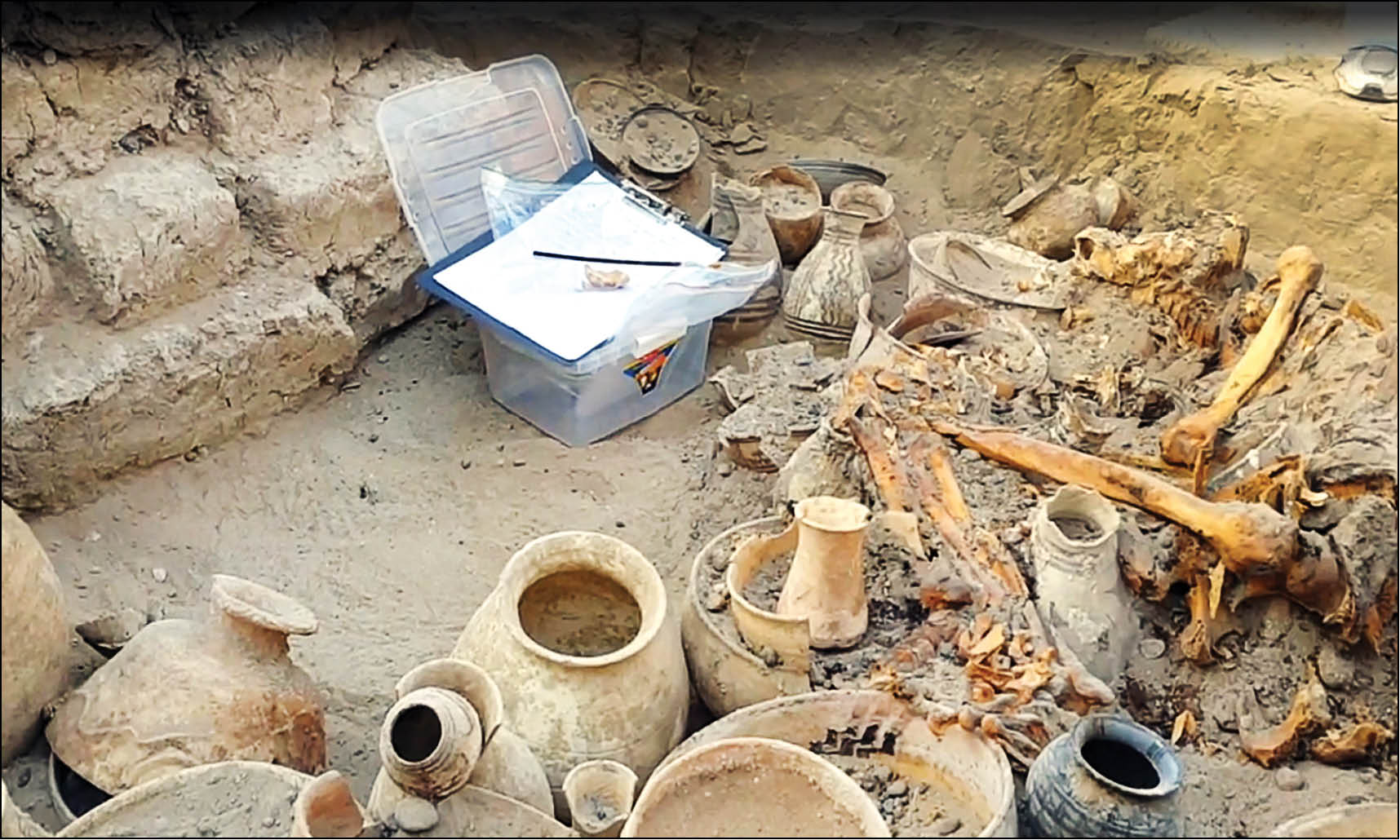 همه علیه طرح ضدمیراث