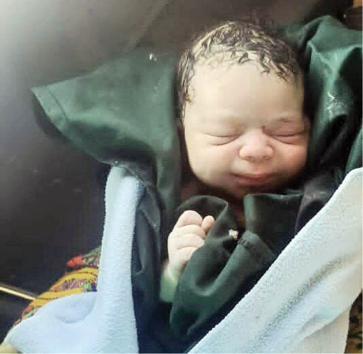 تولد نوزاد عجول در آسمان