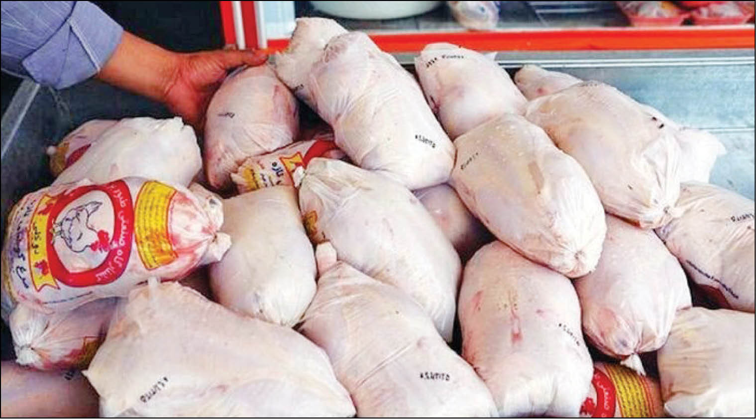 قیمت مرغ 10هزار تومان کاهش یافت