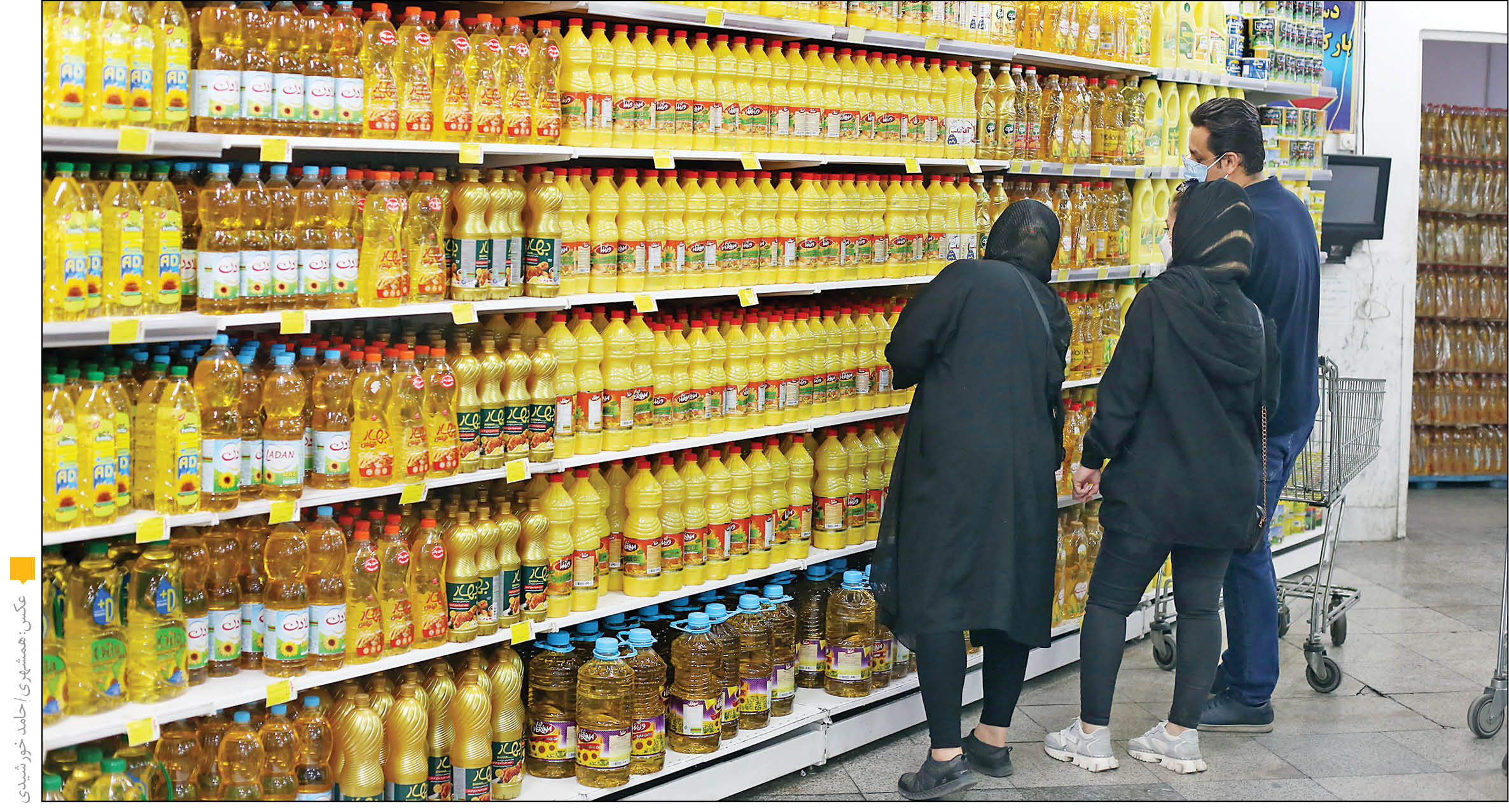 جنگ اوکراین و سختی تأمین گندم