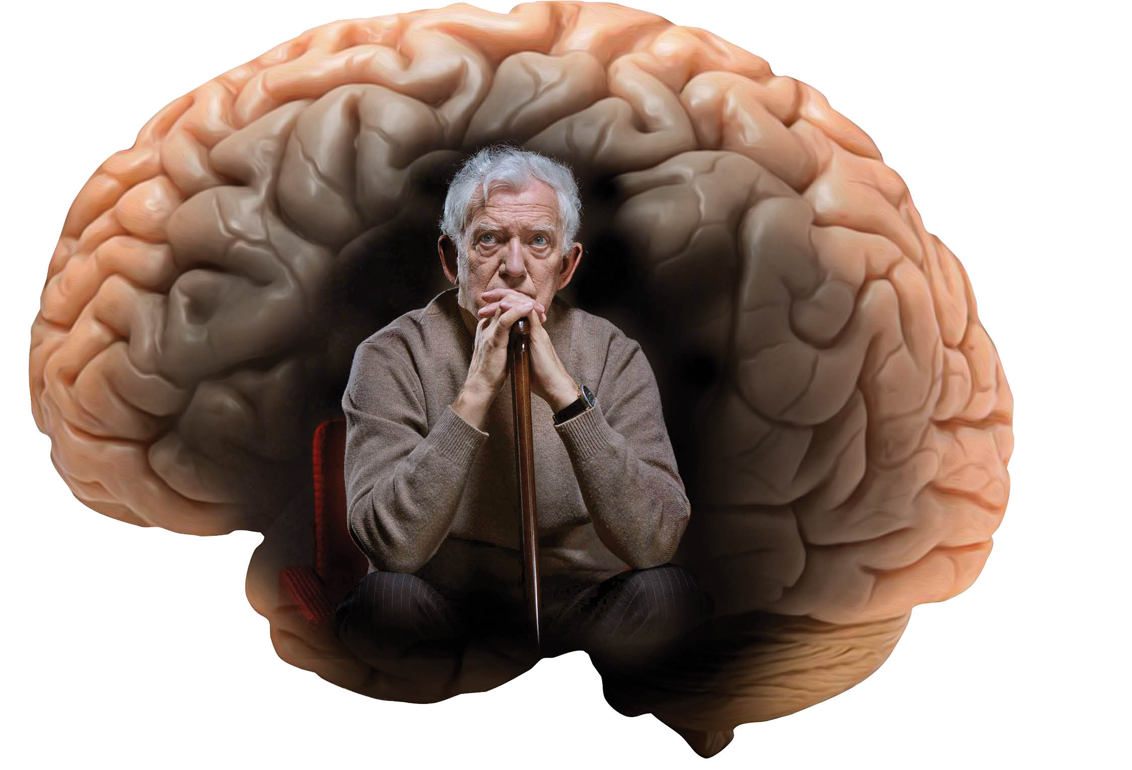 به سوی فراموشی