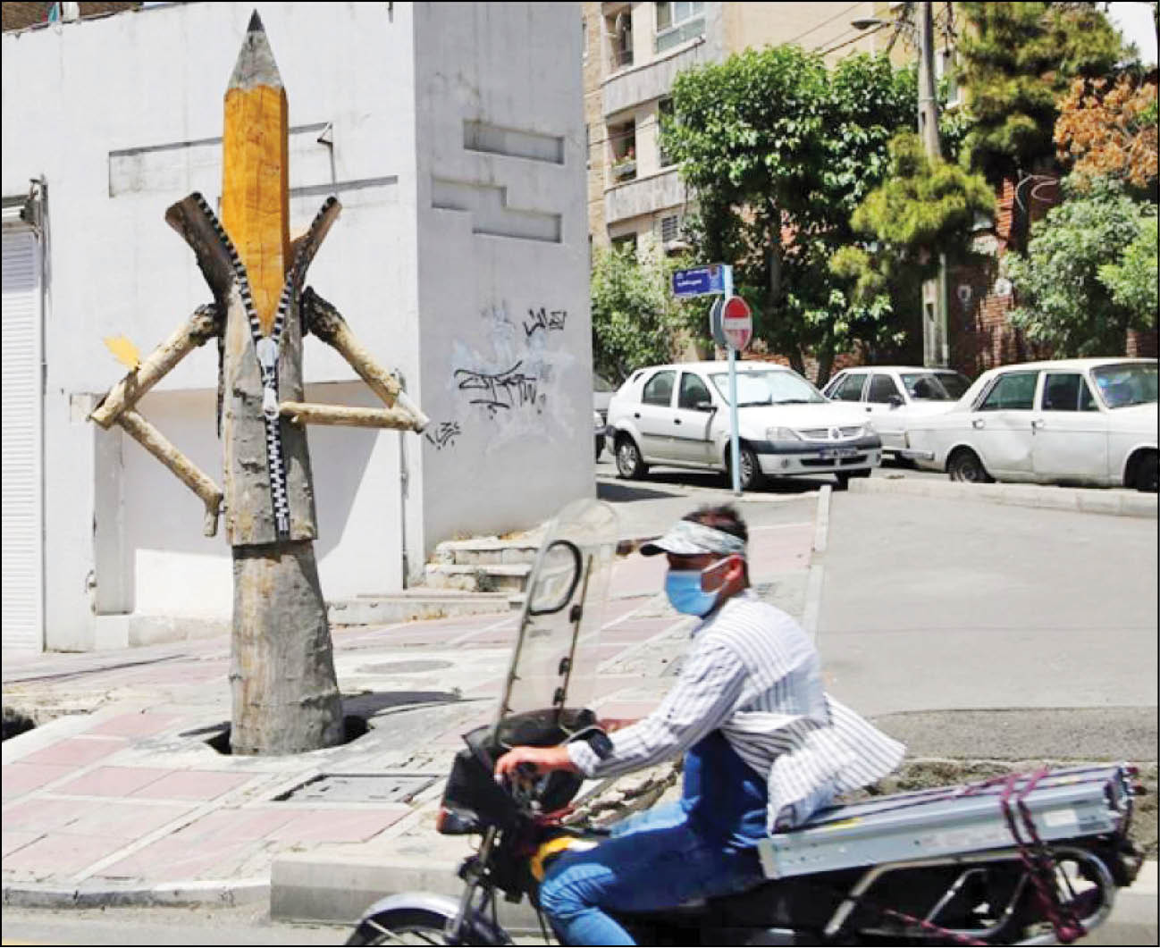 زندگی دوباره درختانی که ایستاده می‌میرند