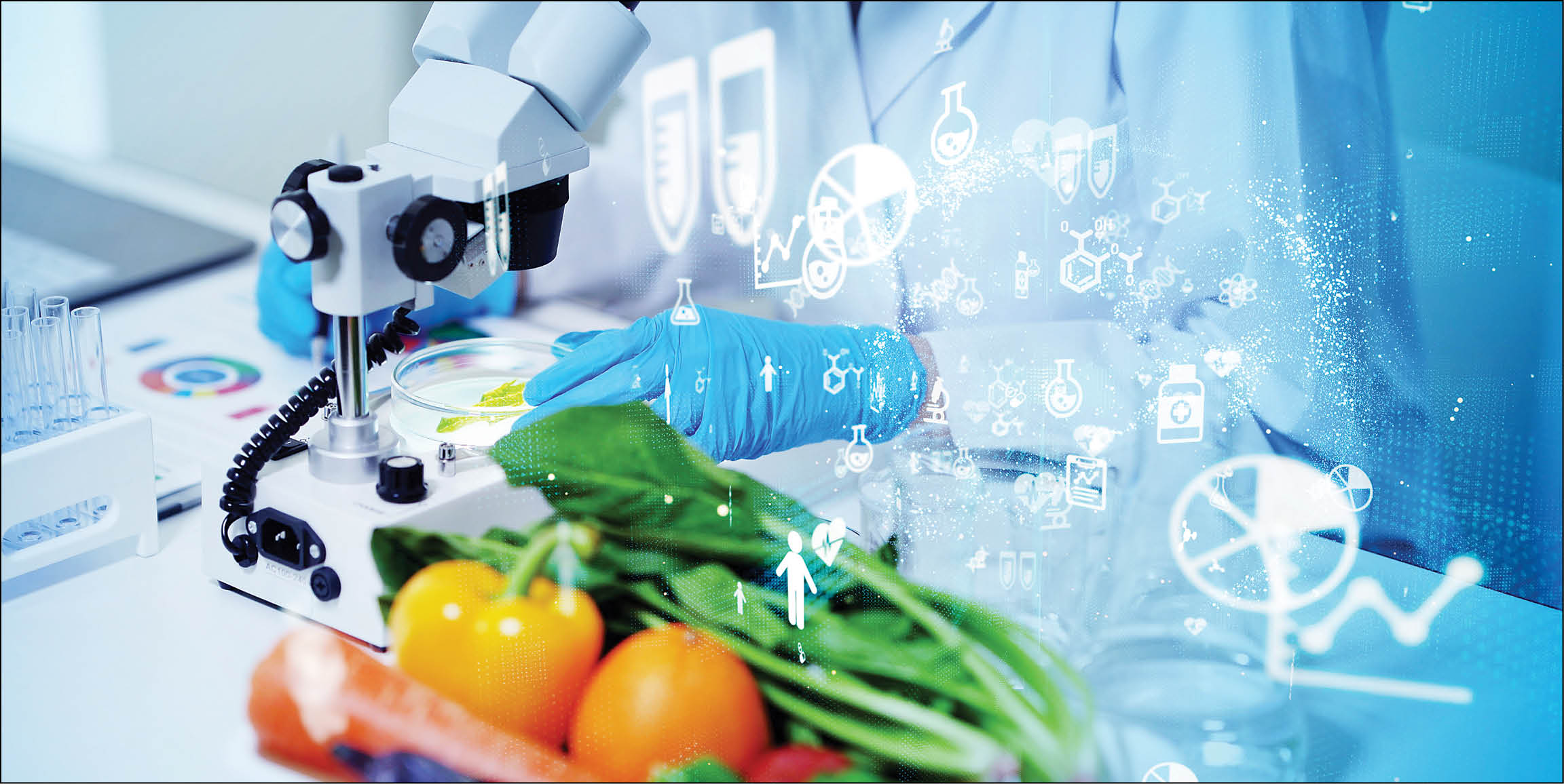 نقش‌آفرینی دانش‌بنیان‌ها در کیفیت غذا