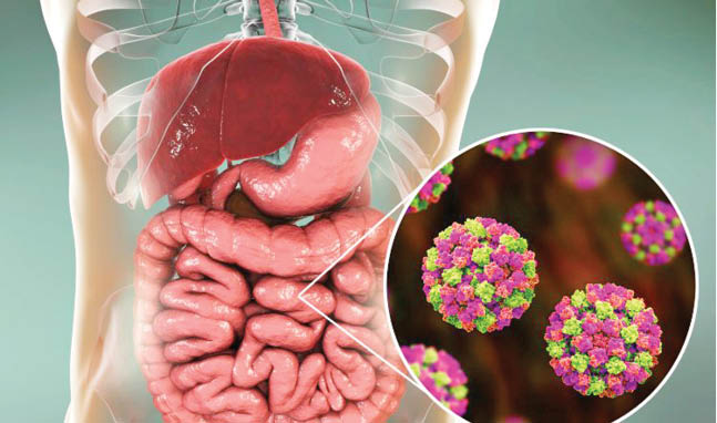 همه‌‌چیز درباره ویروس شایع فصل