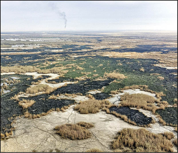 هورالعظیم در آستانه نابودی