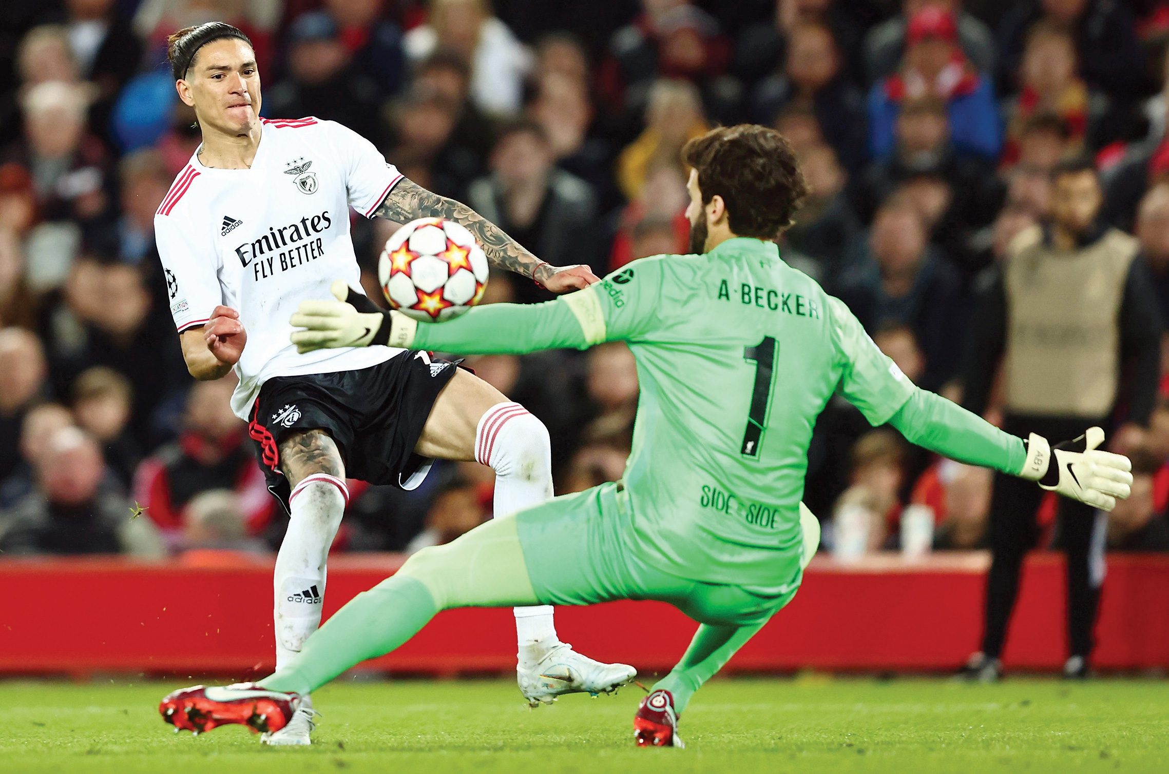 فلسفه داروین