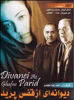 دیوانه‌ای از قفس پرید