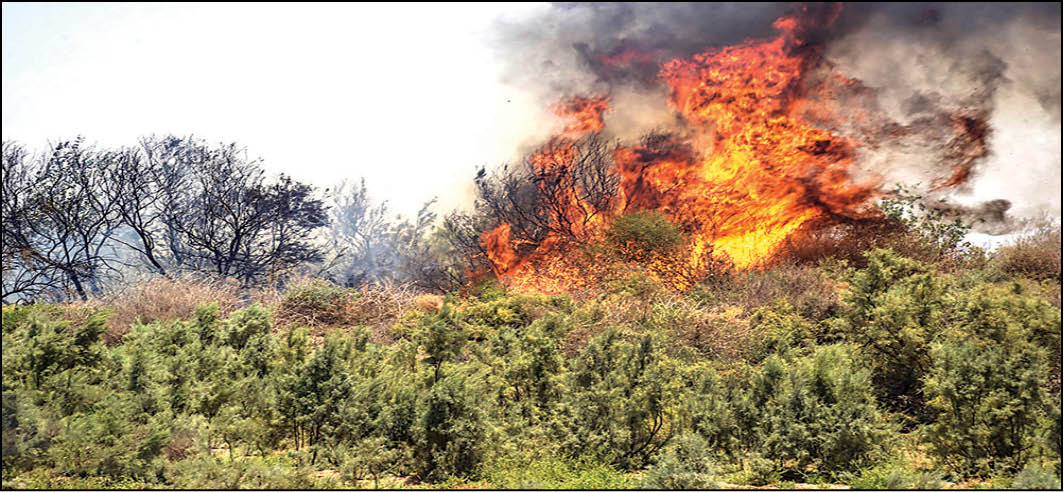 دود هور در چشم خوزستان