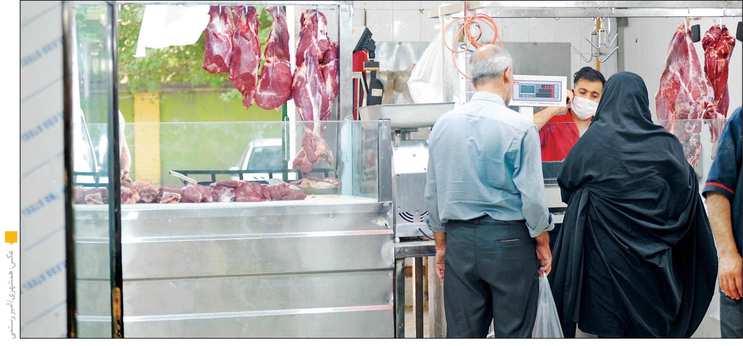 عرضه گوشت قرمز قد کشید