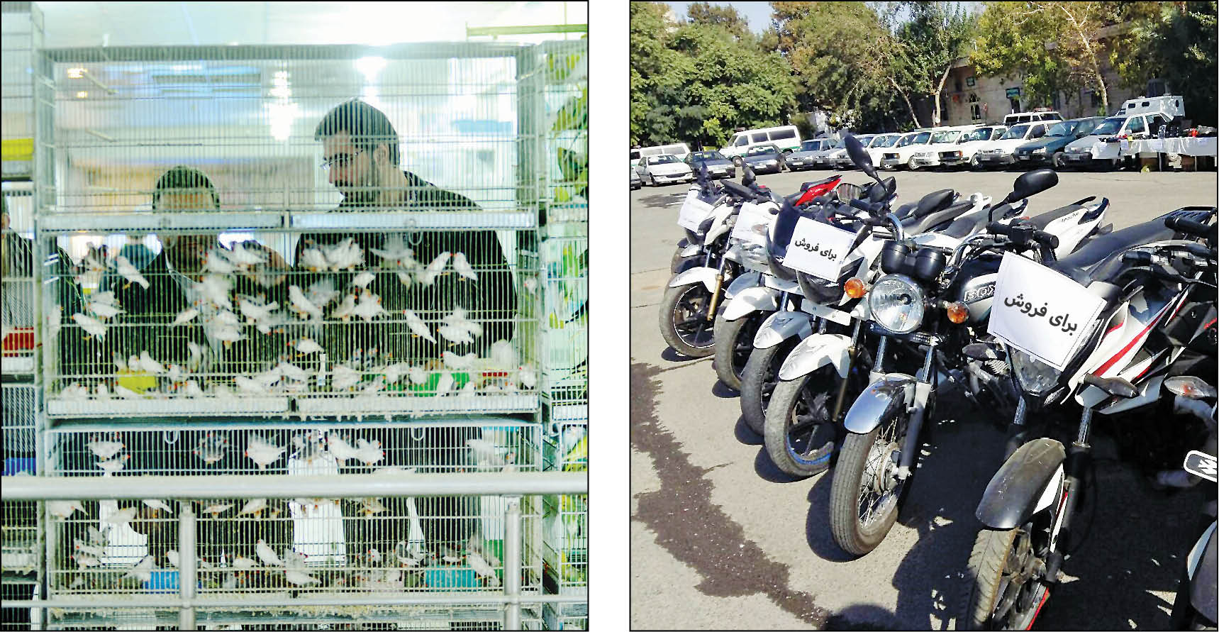 با راه‌اندازی بازار خرید و فروش موتورسیکلت و دوچرخه در انتهای بزرگراه شهید دوران صورت می‌گیرد