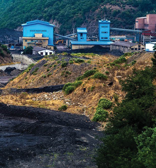 سیاهی زغال بر سبزی سوادکوه