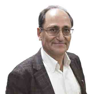 با سگ‌های ولگرد چه کنیم؟