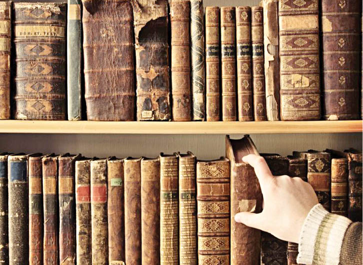 قانونمندی جامعه و تاریخ