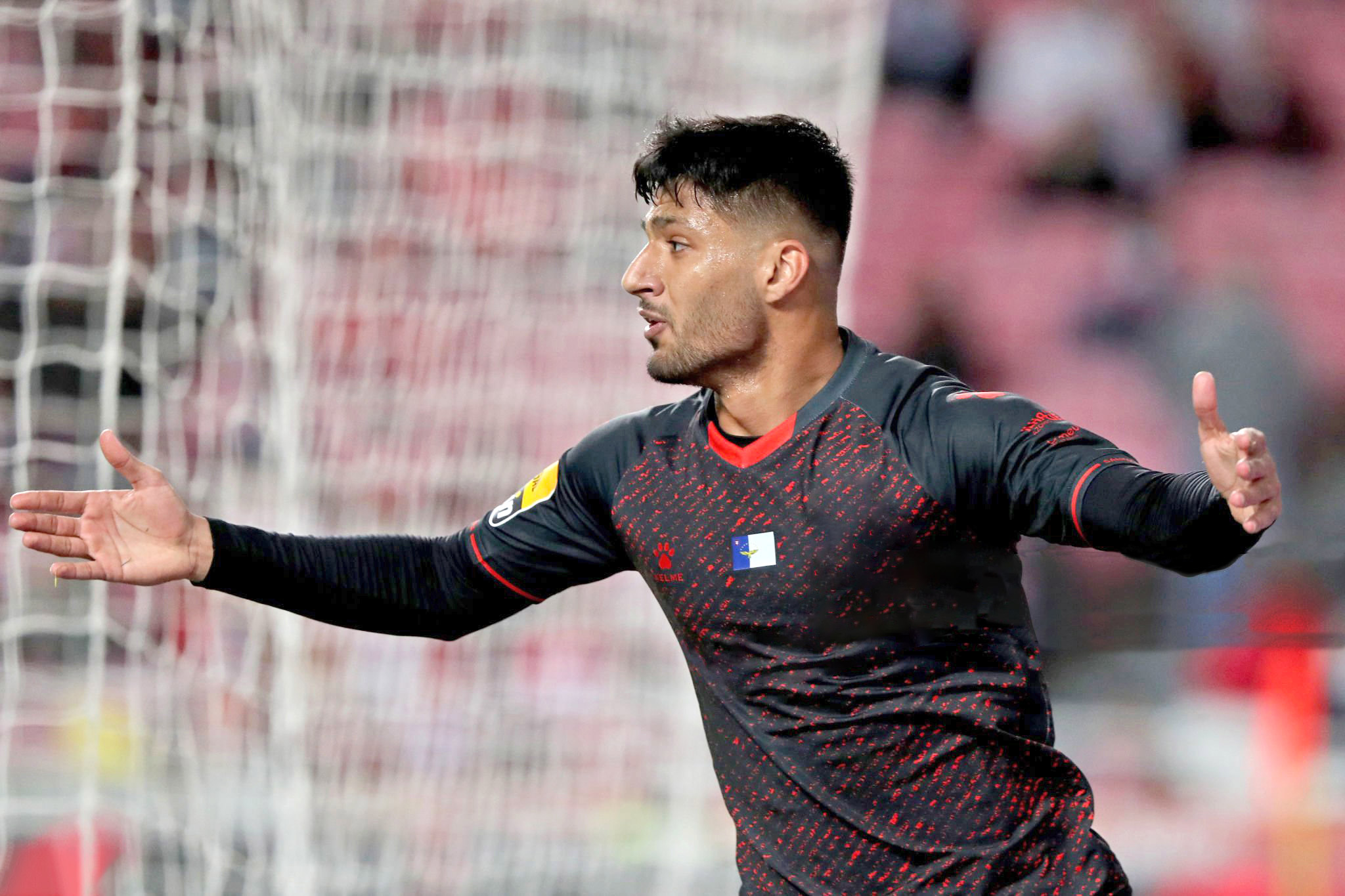 مهاجرت معکوس