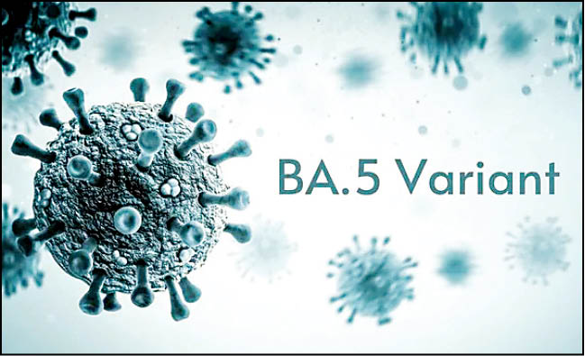 تهدید بزرگ سویه BA.5 برای سیستم ایمنی