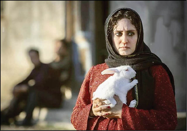 «تی تی»؛ مخرج مشترک منتقد و تماشاگر