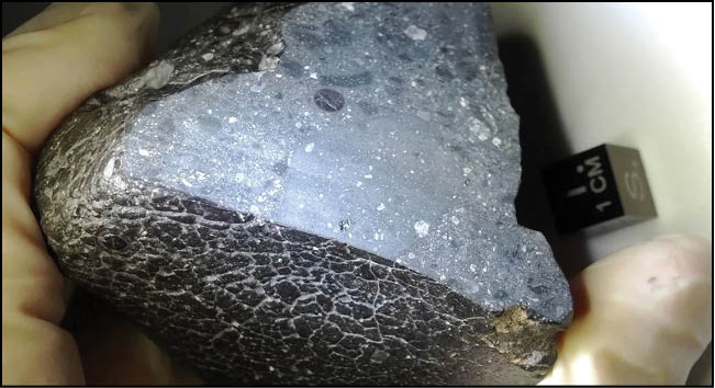 «زیبای سیاه» اسرار زمین را فاش می‌کند