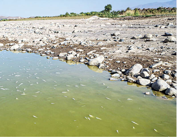 خشکی قزل اوزن