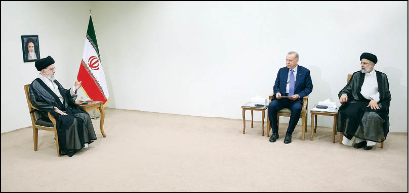 رهبرمعظم انقلاب در دیدار رئیس‌جمهور ترکیه: