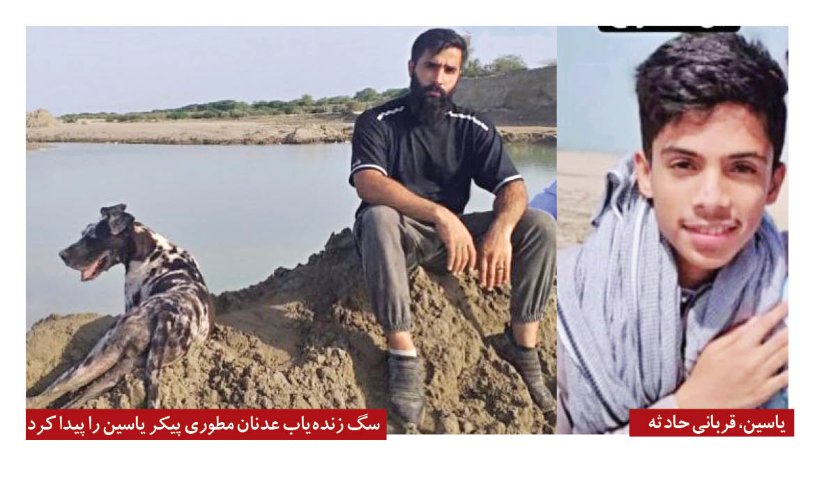 کشف پیکر یاسین با کمک ناتاشا