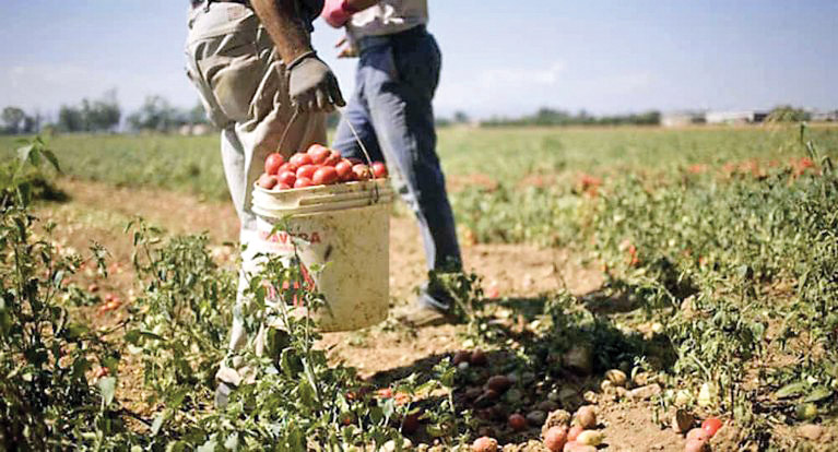 حق‌کشی کارگران مهاجر