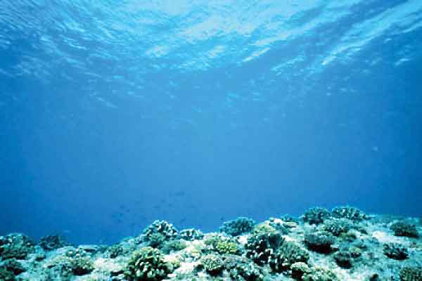 استخر مرگبار در کف اقیانوس