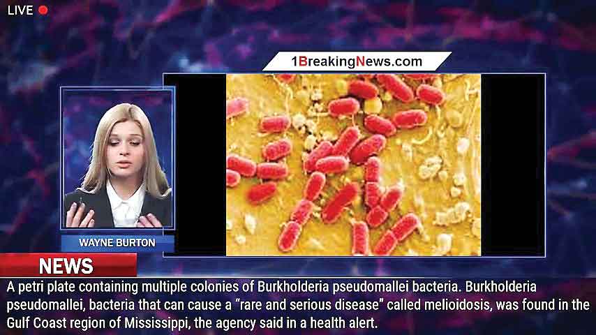 باکتری در آب می‌سی‌سی‌پی